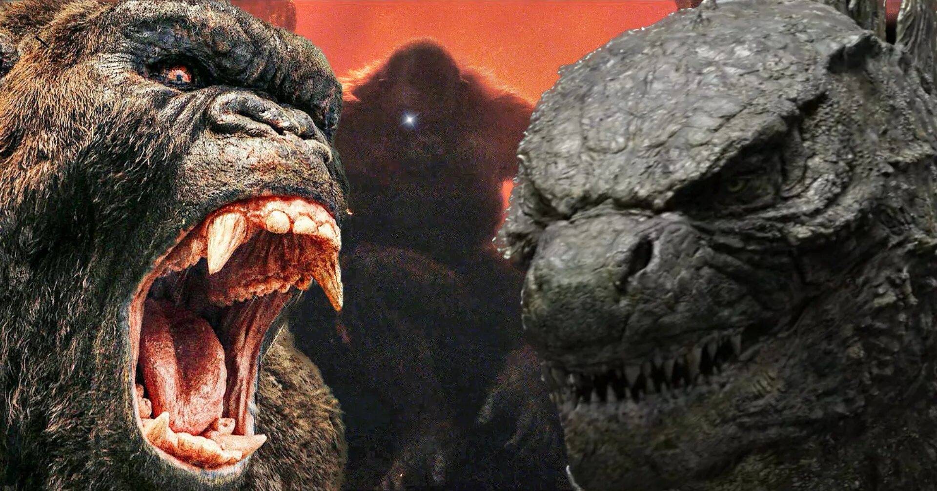 Godzilla x king kong