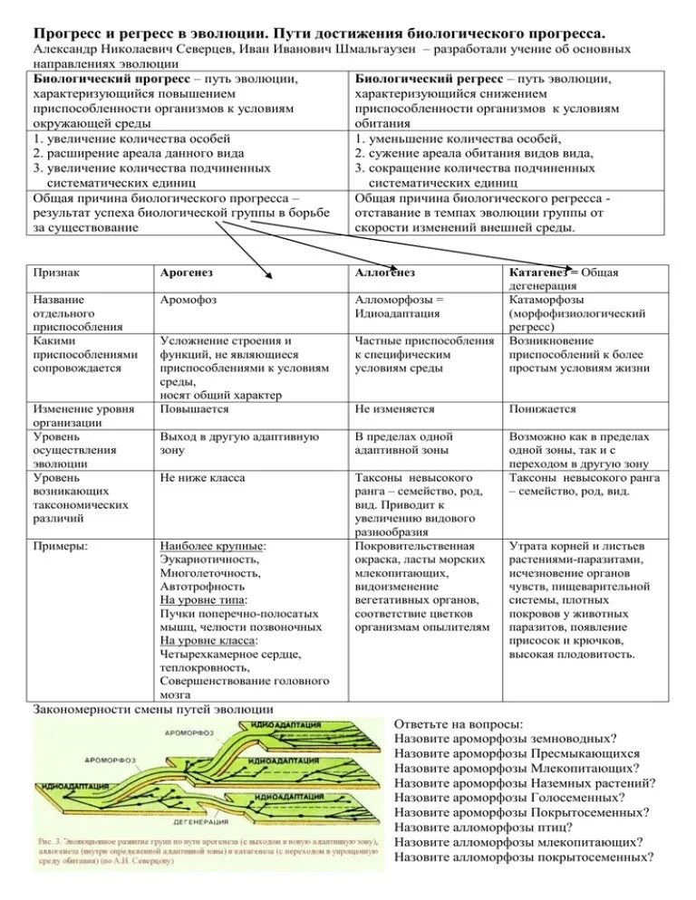 Характеристика биологического прогресса и регресса таблица ГДЗ Рабочая тетрадь по биологии 9 класс. ФГОС. Страница 82