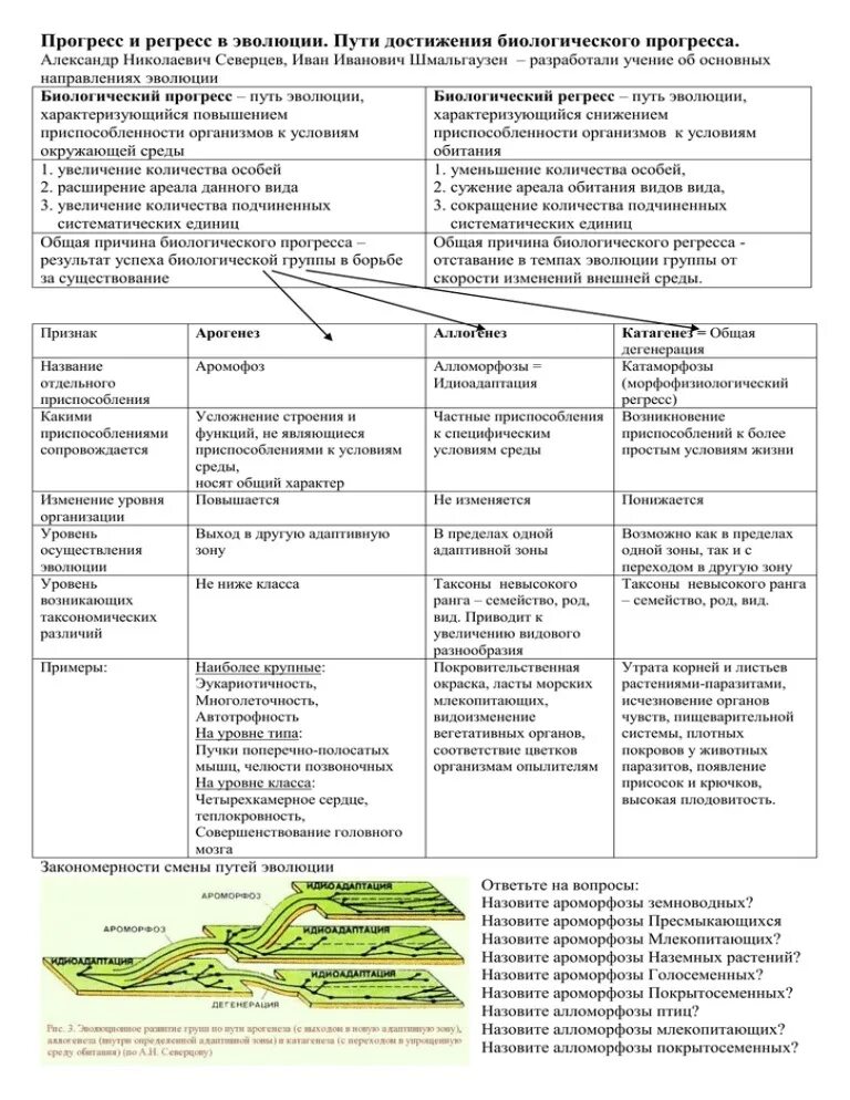 Основные пути достижения биологического прогресса примеры. Пути достижения биологического прогресса ароморфоз. Пути биологического прогресса таблица путь биологического прогресса. Пути достижения биологического прогресса таблица. Таблица пути достижения биологического прогресса ароморфоз.