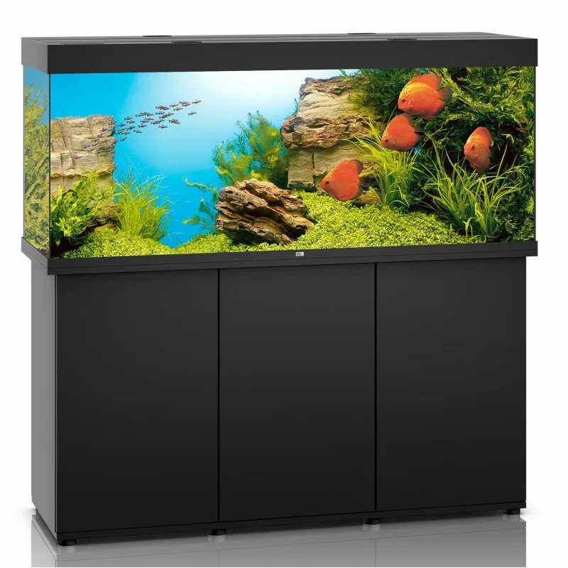 Аквариум 400. Аквариум juwel rio 180. аквариум juwel rio 125 led. аквариум juwel rio 240 led. ювель рио темное дерево 180.