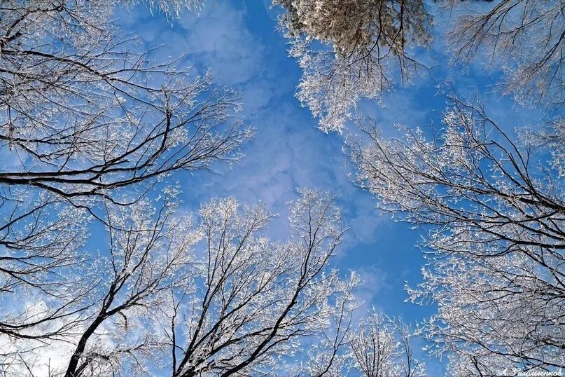 Февральское небо. Весеннее небо. февраль небо. небо весной.