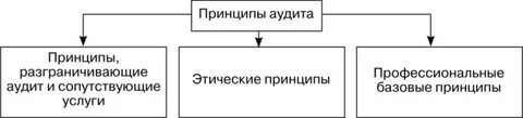 Профессиональные принципы аудита
