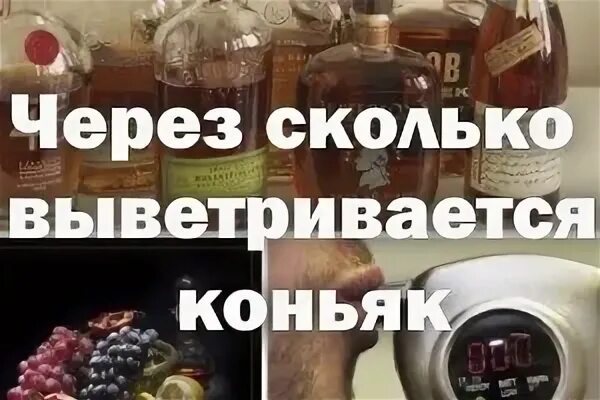 Через сколько выветривается коньяк 200