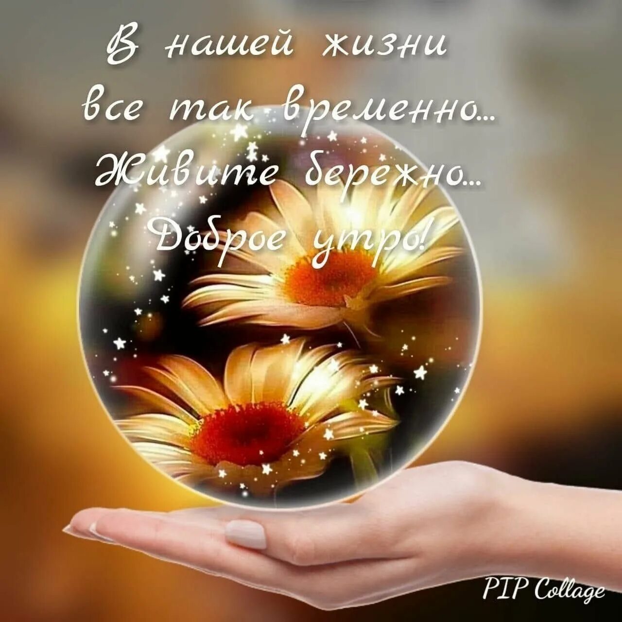 Всего хорошего в новый день. Душевного тепла и спокойствия и гармонии. Доброе утро и счастья в жизни. Живите счастливо доброе утро. Добра и счастья в новый день.