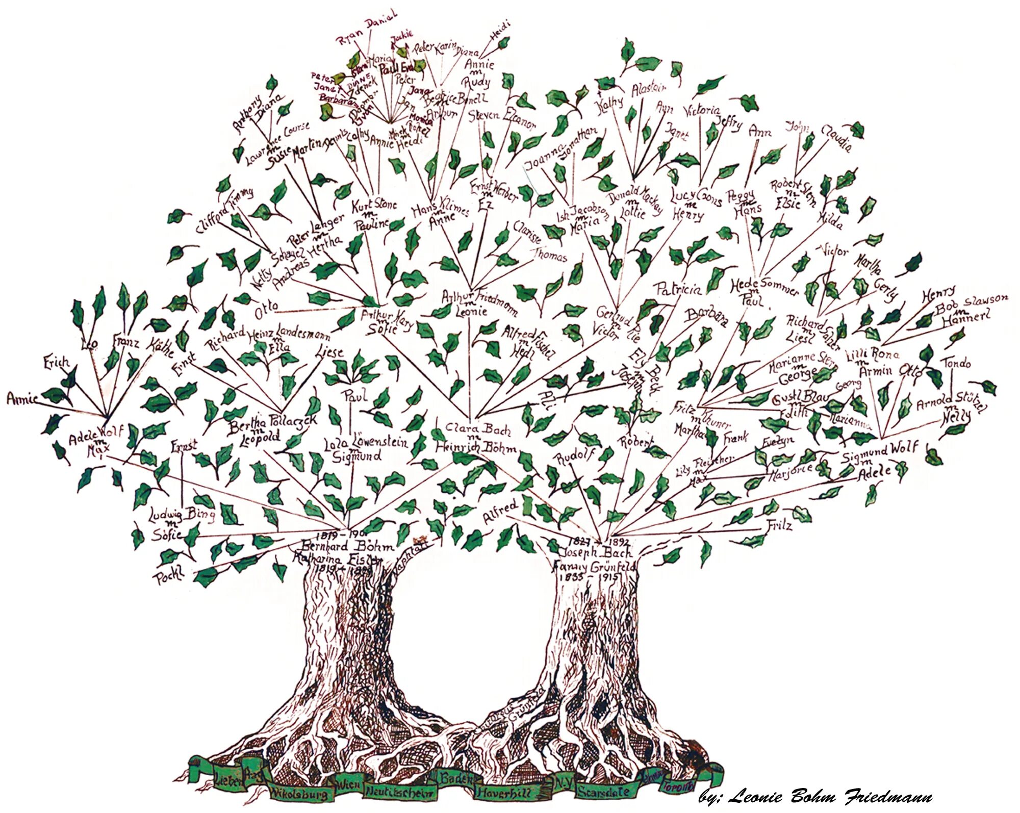 Генетика деревьев. Генеологичне дерево. Генетическое дерево. Родословная дерево. Дерево для семейного древа.