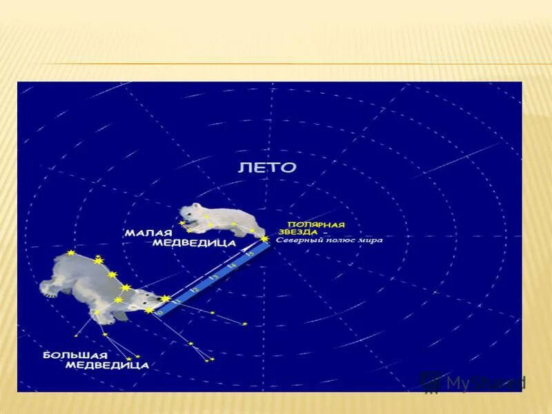 Самую северную звезду северного полушария. Созвездия Северного полушария большая Медведица. Семь звезд большой медведицы. Созвездия Северного полушария рядом с большой медведицей. Большая Медведица полушарие.