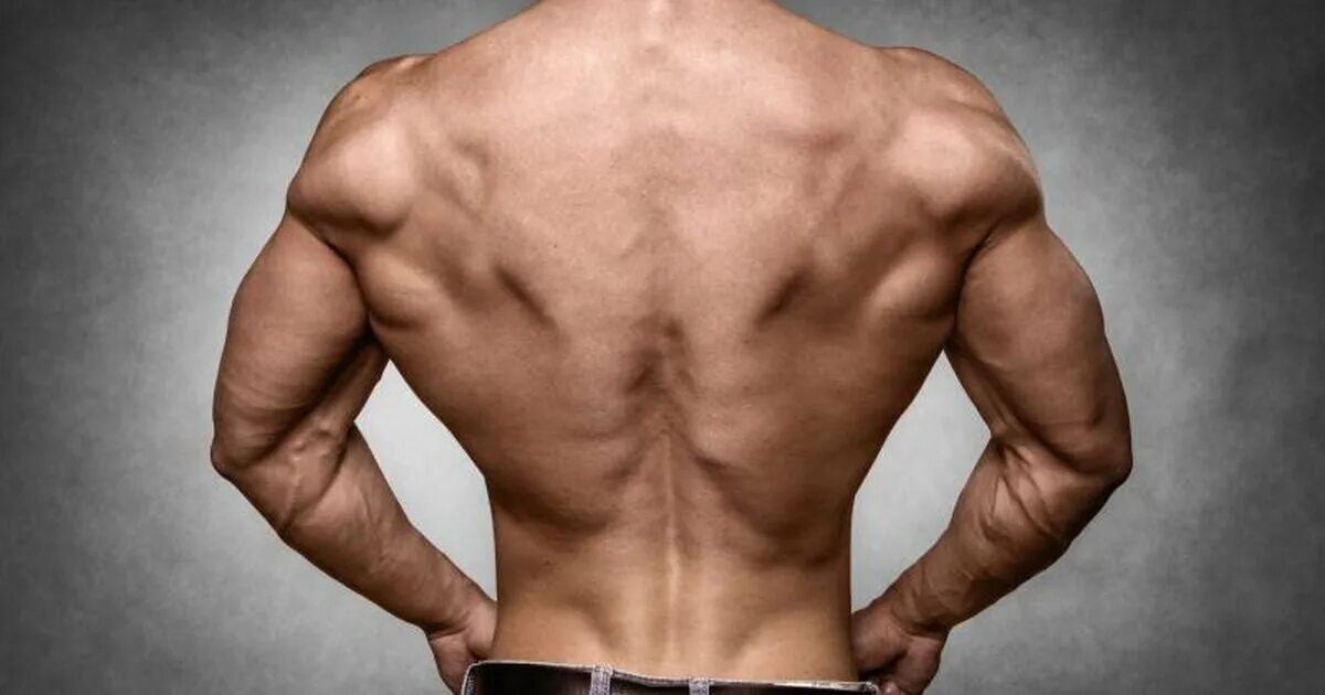 Развитый отличный. Огромная спина. Широчайшая мышца спины у атлетов.