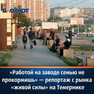 Работает темерник в ростове на дону