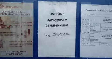 Расписание автобусов чехов пролетарский