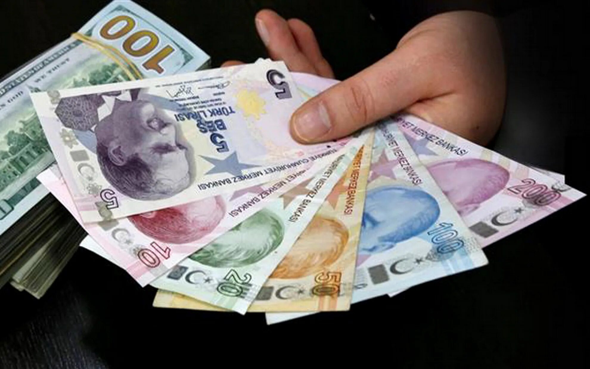 Tl dollar. Турецкие деньги купюры. Денежная валюта в Турции. Турецкие деньги фото.