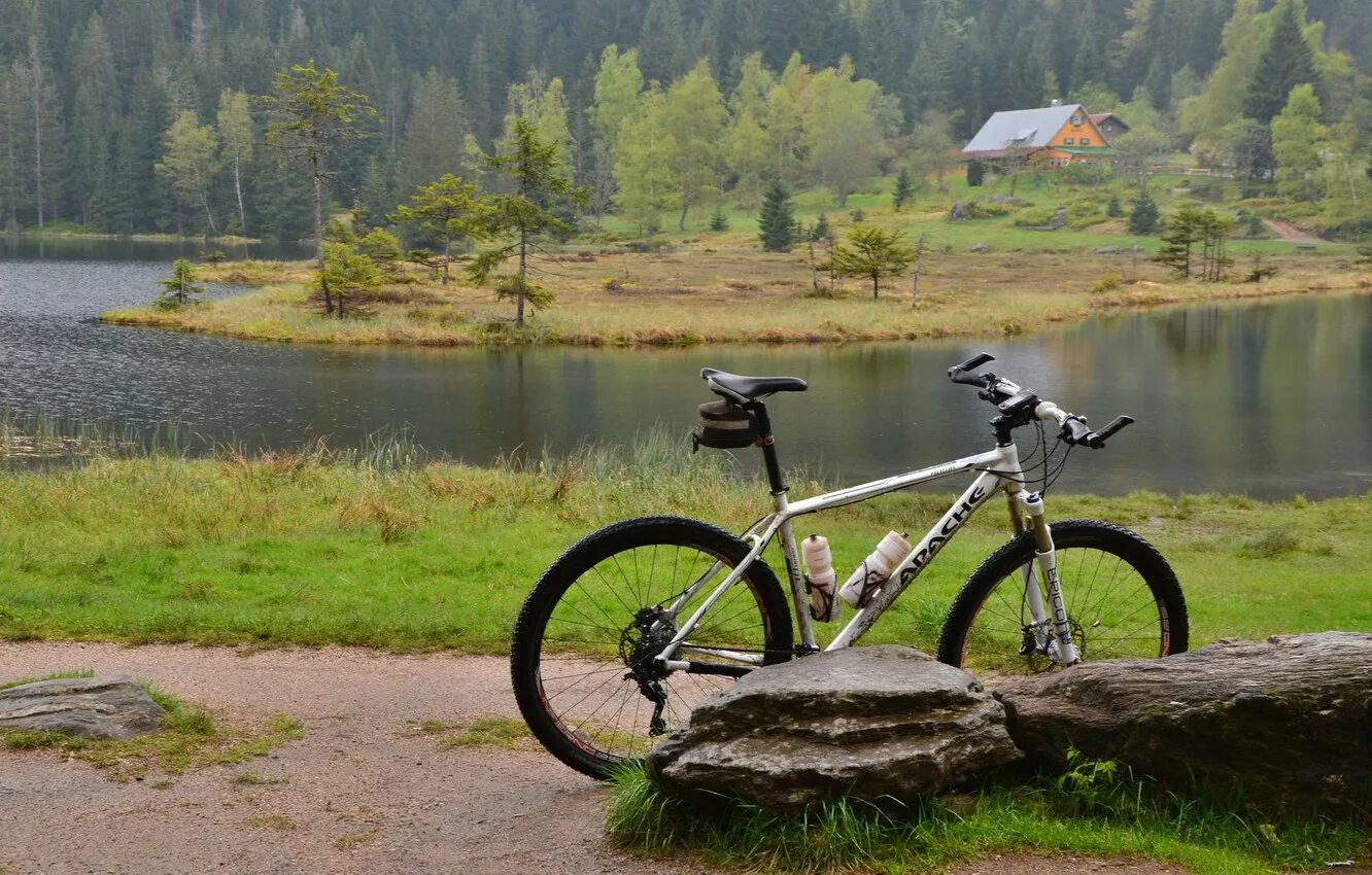 Bike canyon spectral cf 09 2021. Велосипед бизнес. Горный велосипед аренда. Велосипед на набережной. Горный велосипед.
