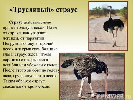 Зачем прятать
