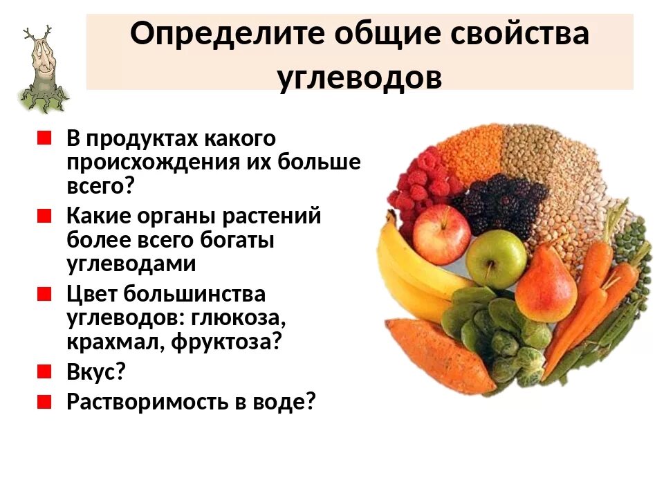 Углеводы растительного происхождения. Углеводы продукты животного происхождения. Фрукты богатые углеводами. Источники углеводов продукты животного происхождения. Продукты содержащие углеводы животного происхождения.