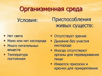 Современные подростки мало приспособлены к самостоятельной жизни