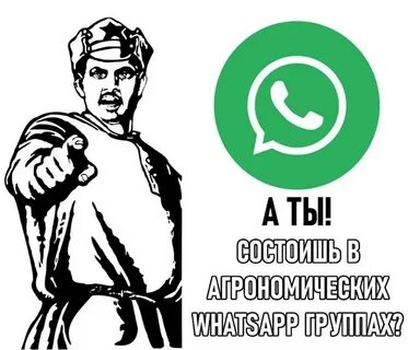 Смешные картинки для whatsapp