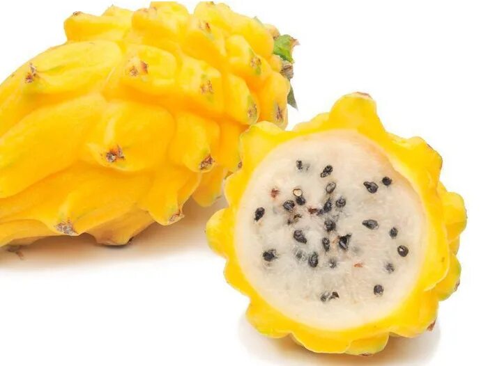 Питайя желтая. Экзотический фрукт питахайя. Жёлтый драгон питахайя. Желтый круглый фрукт.