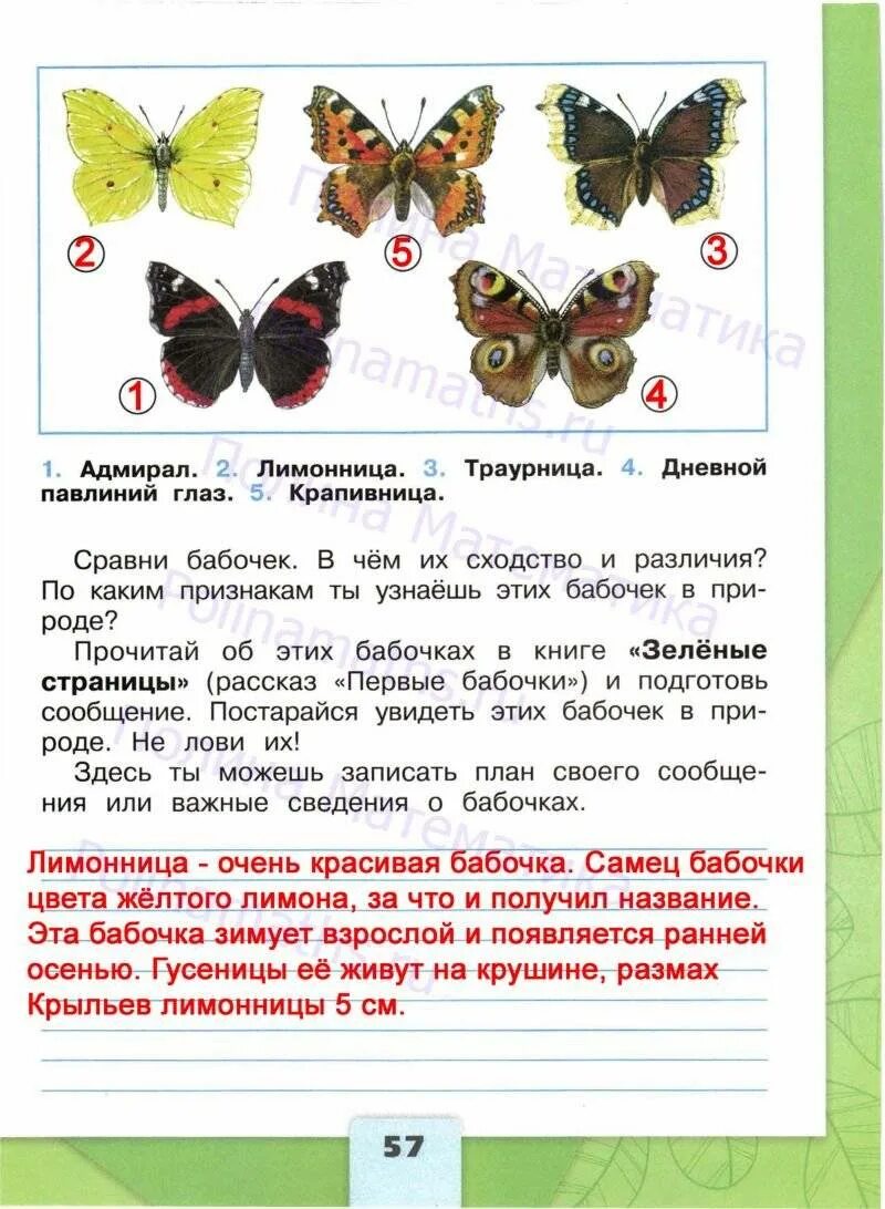 Окр мир рабочая тетрадь стр 42. Ответы окружающий мир 2 класс рабочая тетрадь ответы Плешаков. Окружающий мир 2 класс Плешаков рабочая тетрадь стр 4. Окружающий мир 2 класс рабочая тетрадь 2 часть класс Плешаков. Окружающий мир 2 класс рабочая тетрадь 2 часть Плешаков с 57.