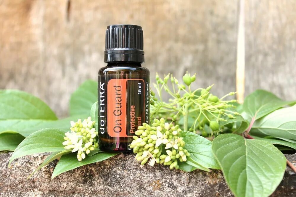 Он Гард ДОТЕРРА. ОНГАРД масло ДОТЕРРА. Эфирное масло ONGUARD DOTERRA. DOTERRA on Guard роллер. Дотерра смесь масел