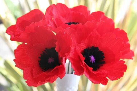 Фотки poppy