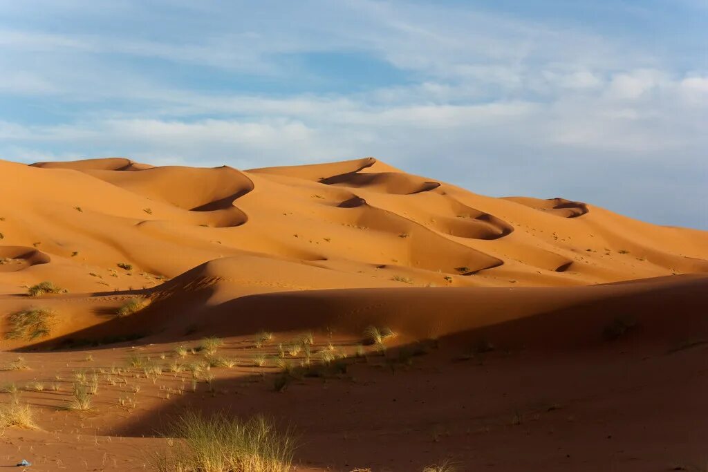 Приокеаническая пустыня. Марокко сахара. Пустыня Скицкая. Пустыня сахара. Самая большая пустыня в мире.
