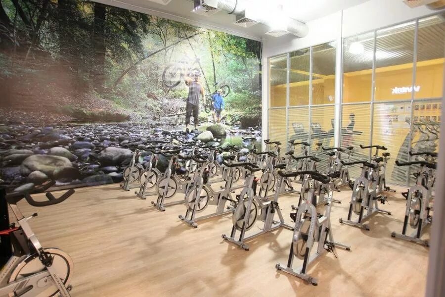 Fitness family кондратьевский просп. Фитнес фэмили на типанова. Кондратьевский 15 фитнес. Фитнес фэмили кондратьевский. Fitness family кондратьевский просп.