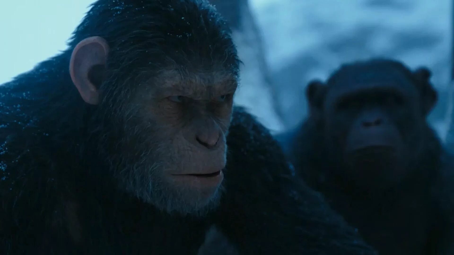 Восстание планеты обезьян 2. Тай Олссон Планета обезьян. Планета обезьян 2014. Восстание планеты обезьян 3