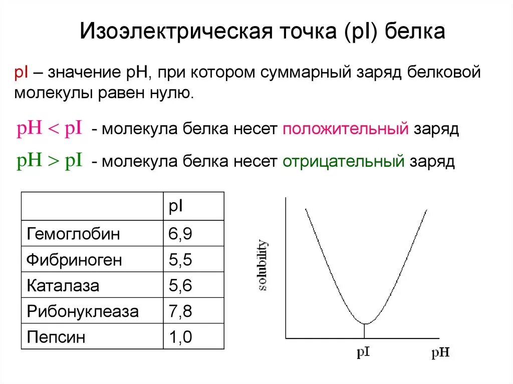 Белковая точка. Изоэлектрическая точка белка. Изо электрическая точка бклкуа. В изоэлектрической точке белок. Изоэлектрическая точка. Елка.