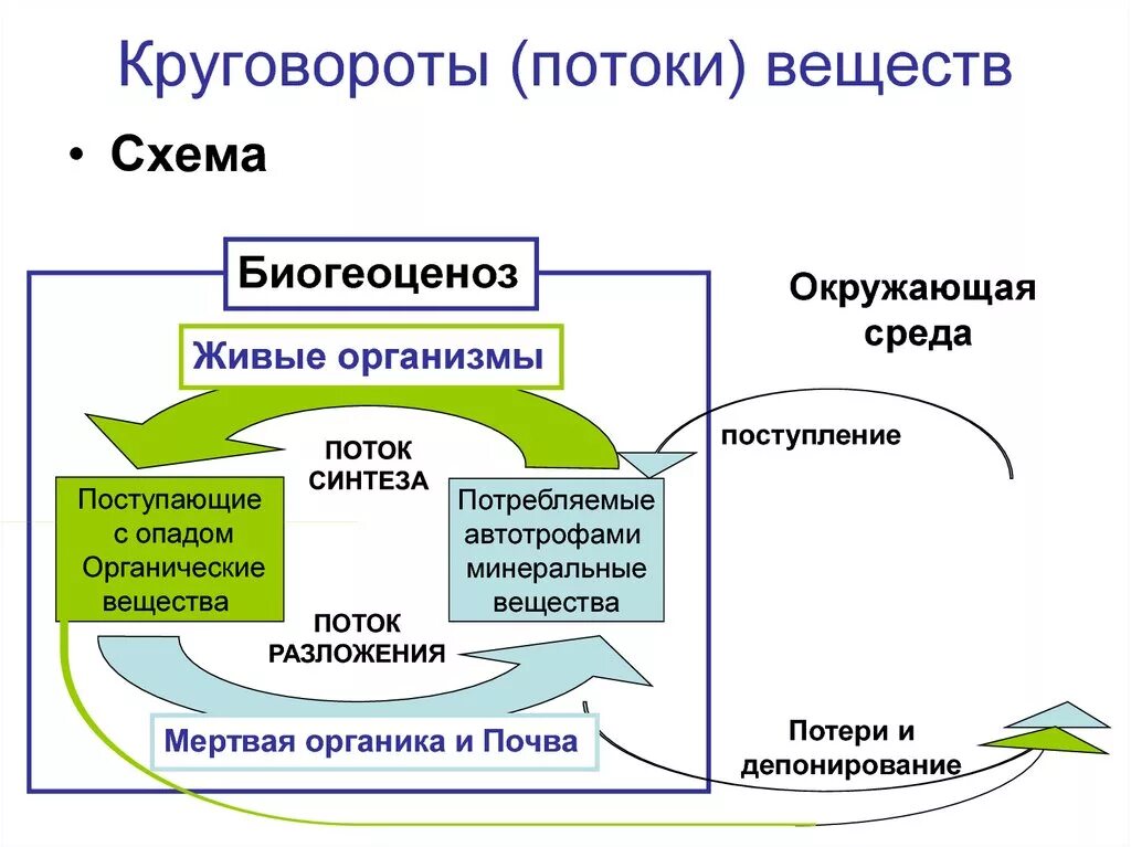 Процессы биологического круговорота веществ. Схема малого биотического круговорота веществ. Круговорот веществ и поток энергии в природе. Биотический круговорот веществ схема. Схема биологического круговорота веществ.