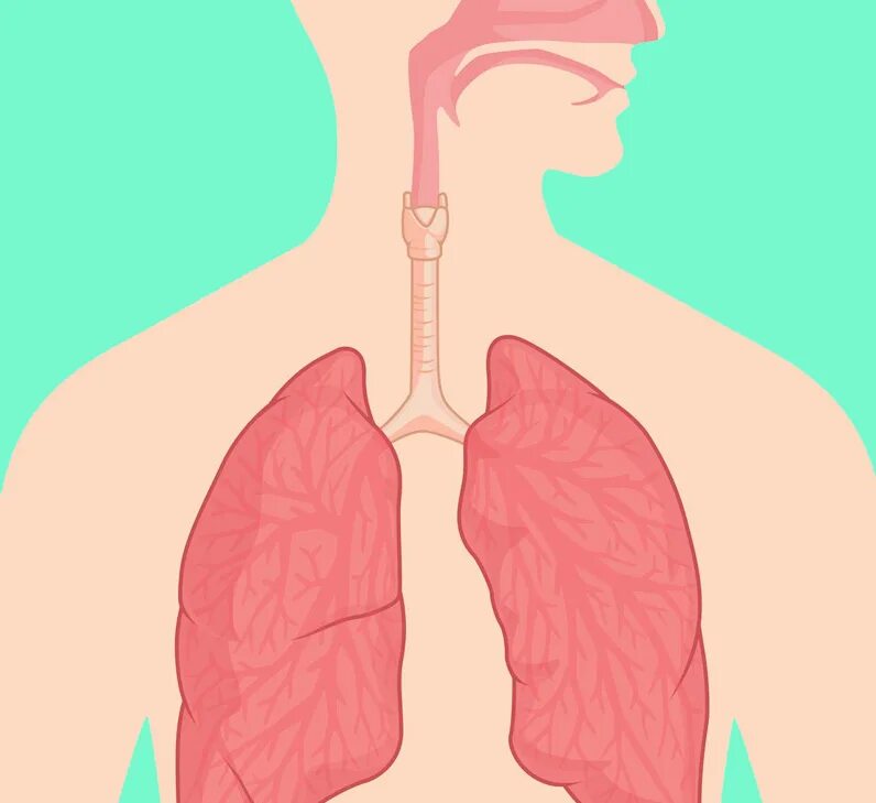 Двусторонняя пневмония. Воспаление листков плевры. Respiratie. Заболевания органов грудной клетки. Двусторонняя пневмония.