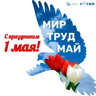 С 1 мая руководителю