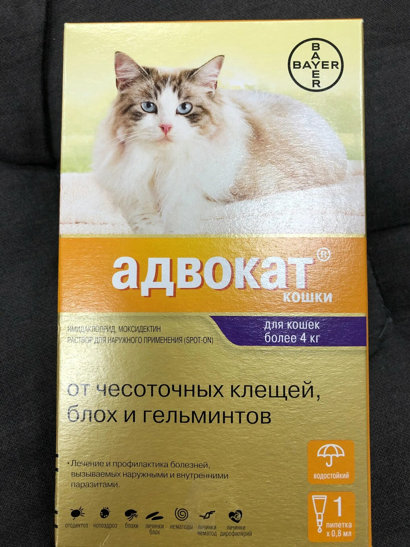 Bayer адвокат для кошек. Адвокат Байер для кошек. Адвокат для кошек более 4 кг. Адвокат для кошек более 4 кг состав. Адвокат для кошек отзывы