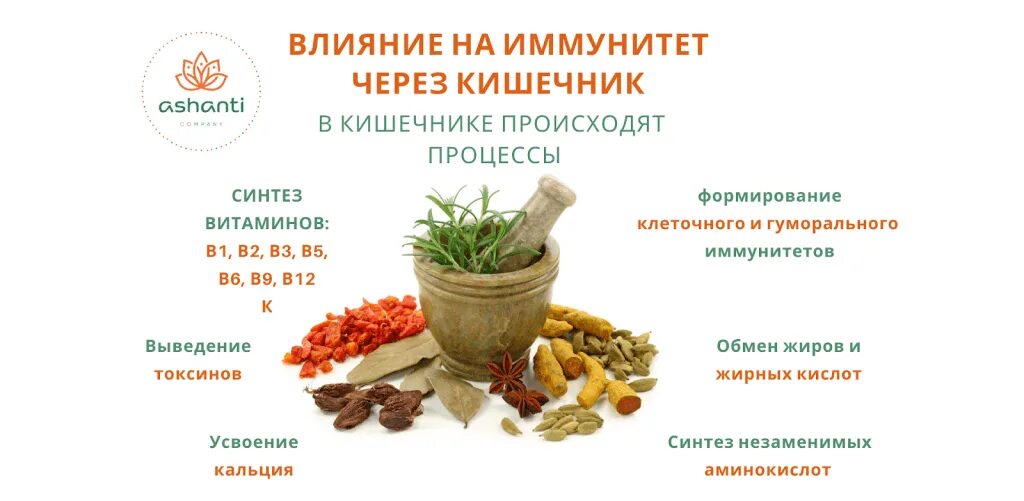 Повышение иммунитета. Методы повышения иммунитета. Продукты для повышения иммунитета. Народные средства для повышения иммунитета.