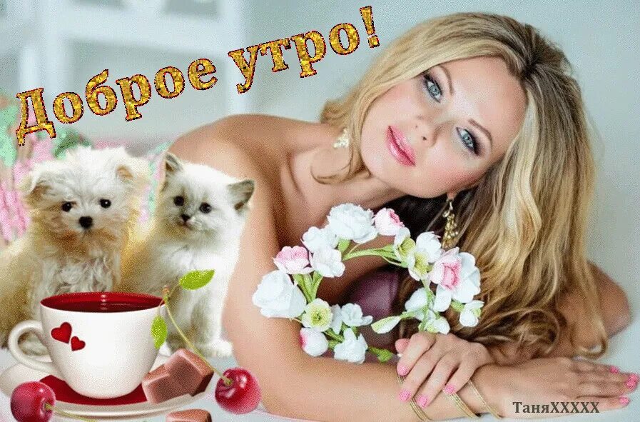 Открытки просто так для настроения другу. Открытки с котятами. Открытки другу для настроения мужчине. Красивые поздравления с добрым утром. Открытки для хорошего настроения женщине.