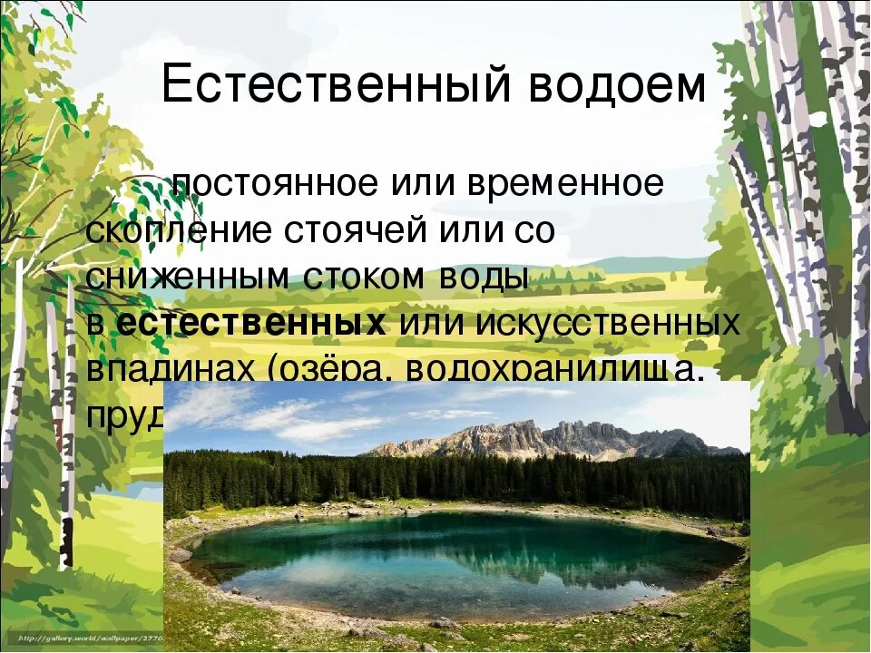 Водоем конспекты занятий. Естественные водоемы. Естественные водоемы Краснодарского края. Естественные и искусственные водоемы. Искусственные водоемы Кубани.