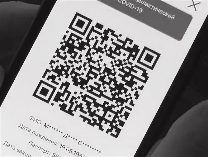 QR код Тольятти. Перелеты по России QR код. Орлята России QR код. QR код небесного орла.