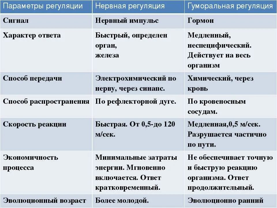 Сравнение нервной и гуморальной. Таблица гуморальная регуляция 8 класс по биологии. Нервная и гуморальная регуляция таблица. Гуморальная регуляция систем органов таблица. Сравнение нервной и гуморальной системы таблица.