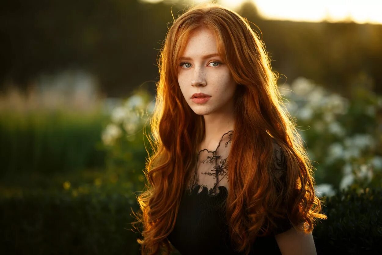 Redhead. Redhead