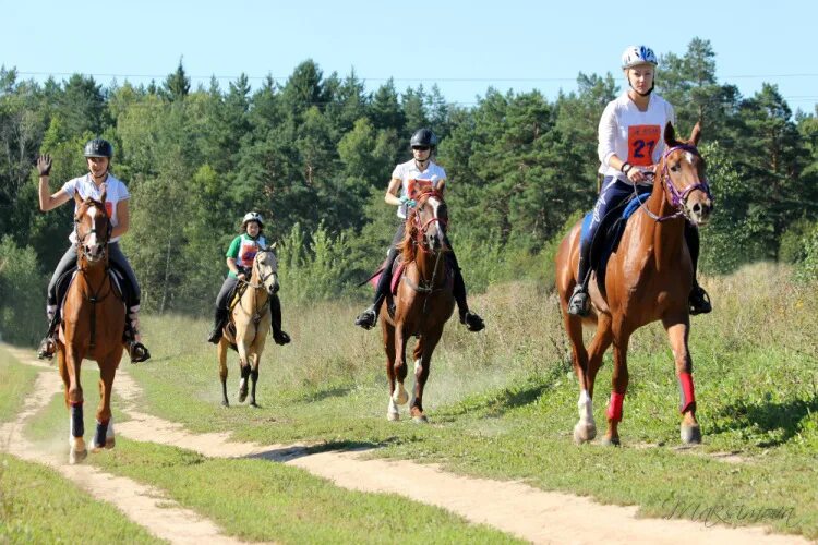 ахмед махов конные пробеги. лошади. пробеги 2012. горные конные пробеги. марафон бег.