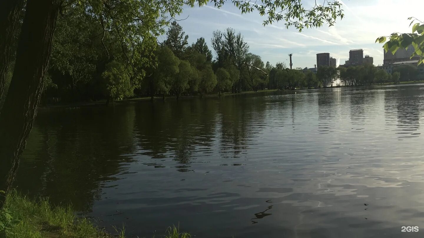 Головинские пруды зимой. Щербинка пруд. Головинские пруды зима. Парк черкизовский пруд. Староникольский пруд в щербинке.