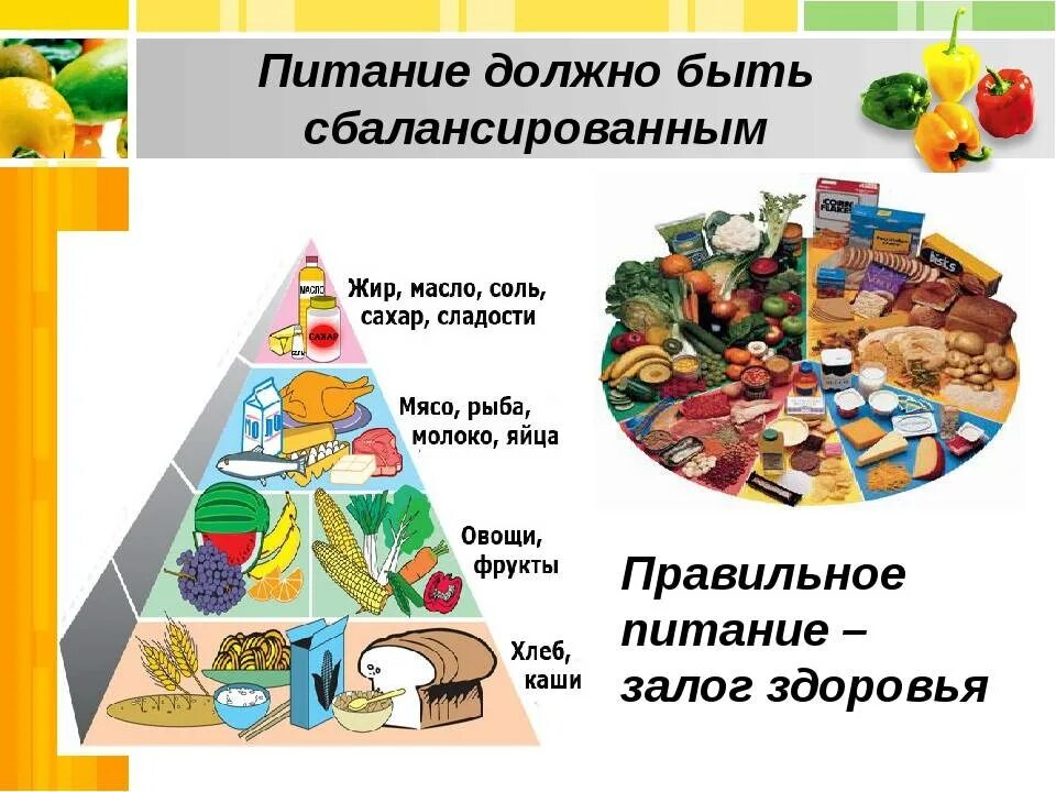 Питание должно быть правильным. Правильное питание. сбалансированное питание. сбалансированое питание. правильное сбалансированное питание.