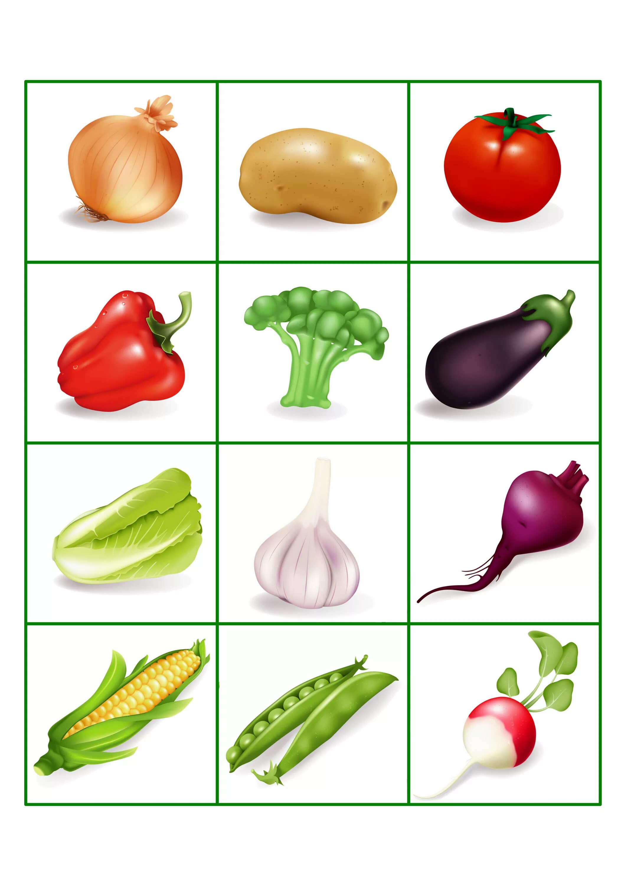 3d model vegetables broccoli cabbage Technologie Vegetables, Dried vegetables, B