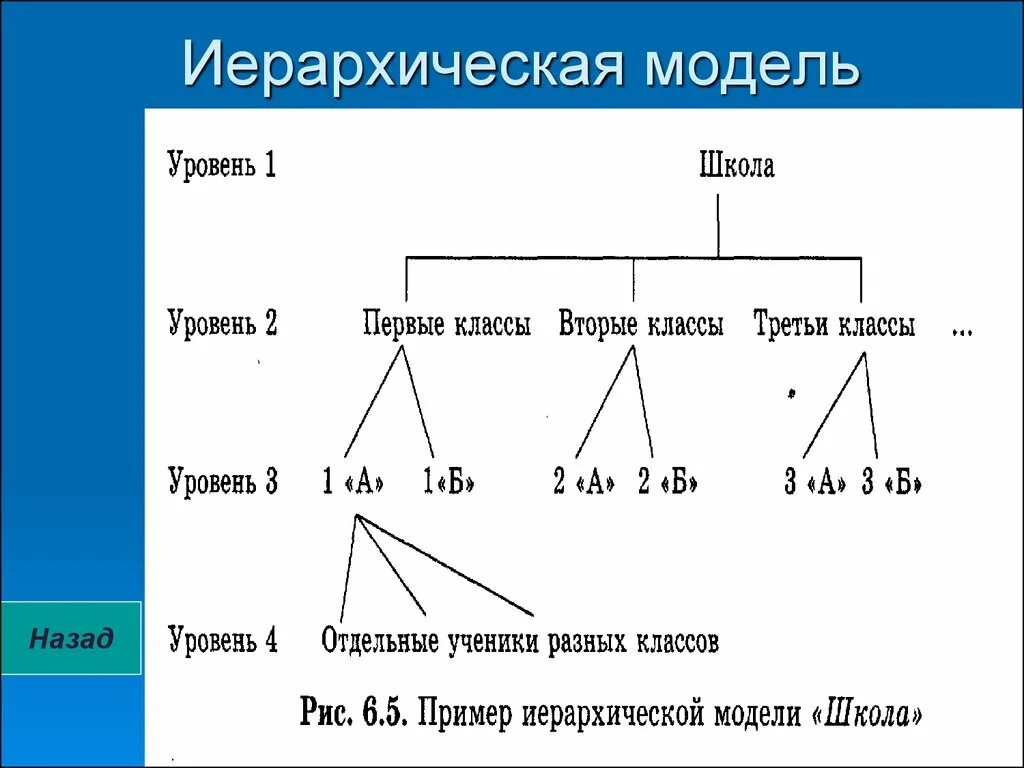 Модель иерархической системы. Иерархическая модель. Иерархическая модель школы. Иерархическая модель макет. Иерархическая база данных.