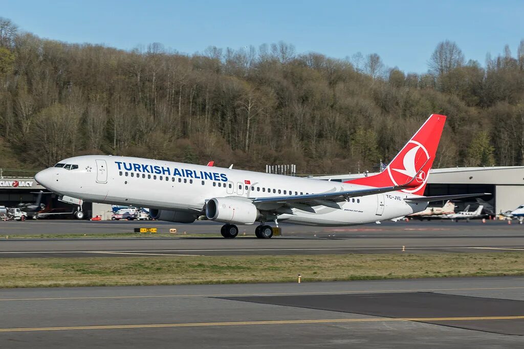 Turkish Airlines-Thy Боинг 737-800. Turkish Airlines 737. Boeing 737 Turkish Airlines. B737-800. Туркиш эйрлайнс отзывы