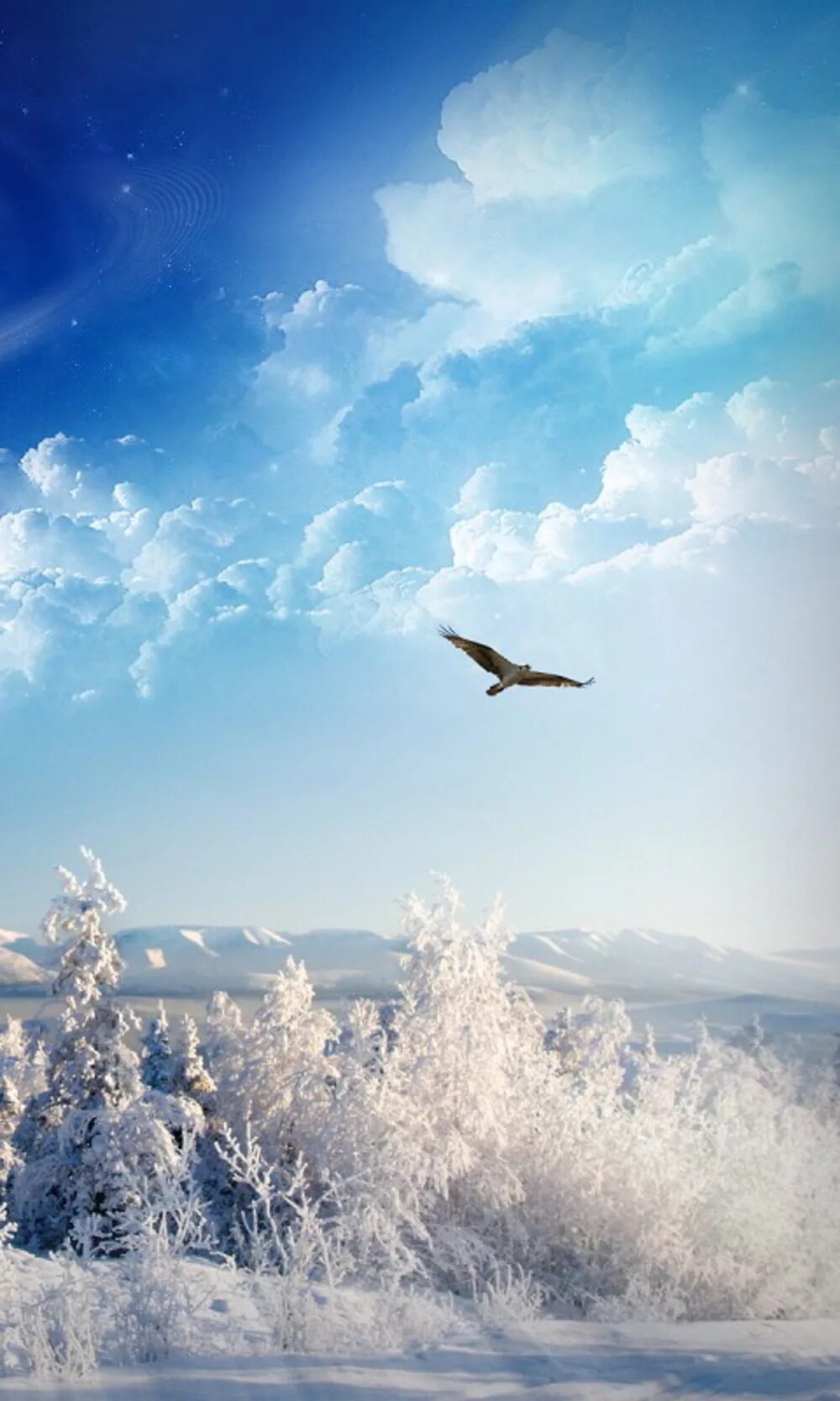 зима снежинки. ворона на ветке зимой. снег. зимние облака. птицы в небе зима.