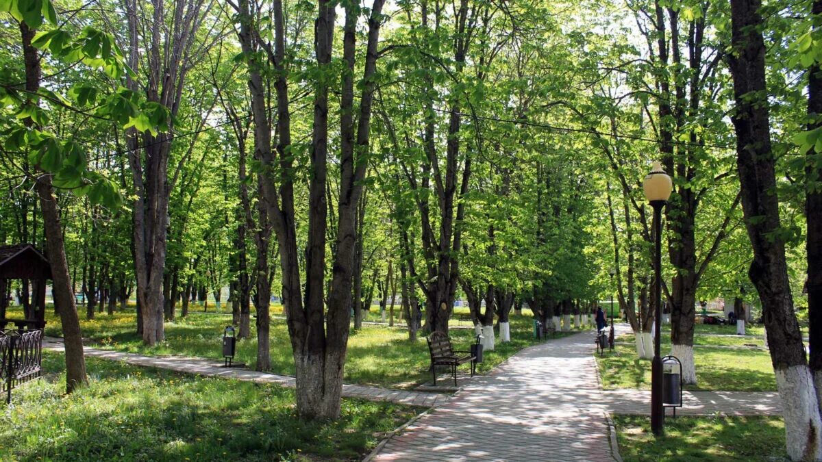 Городской парк горячий ключ. Горячий ключ парк аттракционов. Городской парк горячий ключ. Горячий ключ парк. Оранжевый парк горячий ключ.