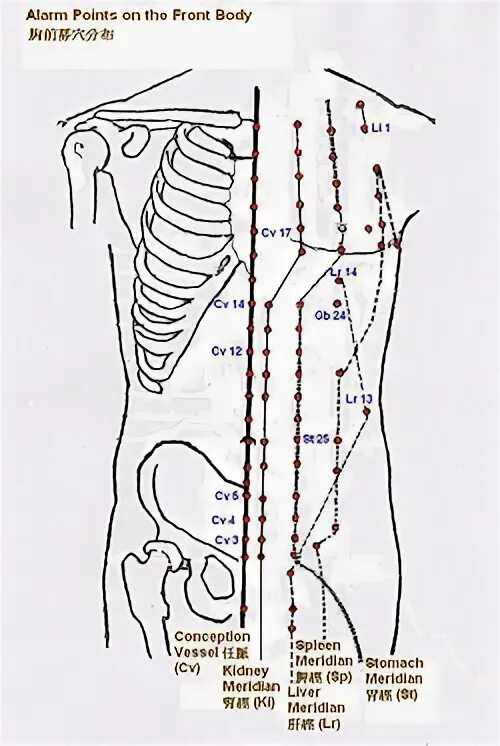 Артровикс меридиан. Точка v23 Шэнь-Шу. Точка Шэнь Шу расположение. Шэнь Шу точка как найти. Шэнь Шу и Тай си точки схема.