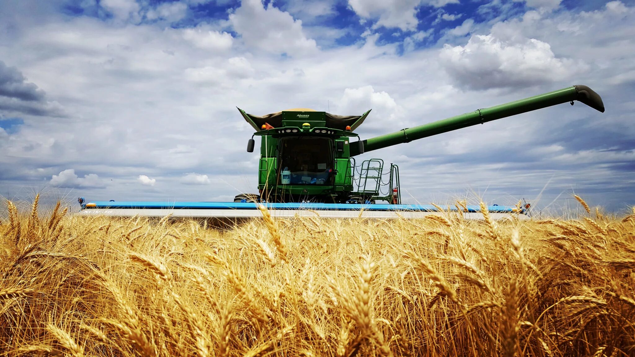 Бухгалтерия в сельском хозяйстве. Производство зерна. Сельское хозяйство растениеводство. Пшеница подорожала. Экономика зерна.