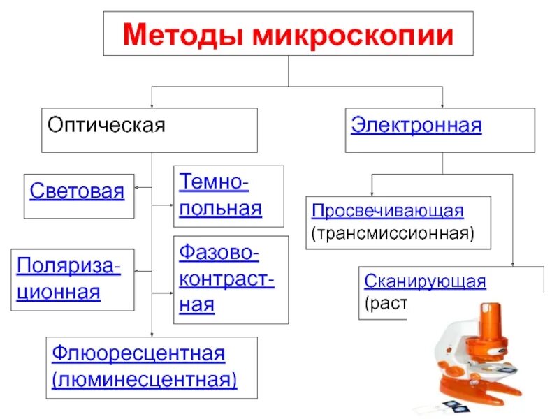 Заполнить таблицу методы микроскопии. Метод оптической микроскопии. микроскопические методы исследования таблица. специальные методы оптической микроскопии. световые микроскопы методы исследования.