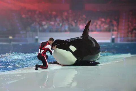 Куда сходить с ребенком 18 февраля 2024