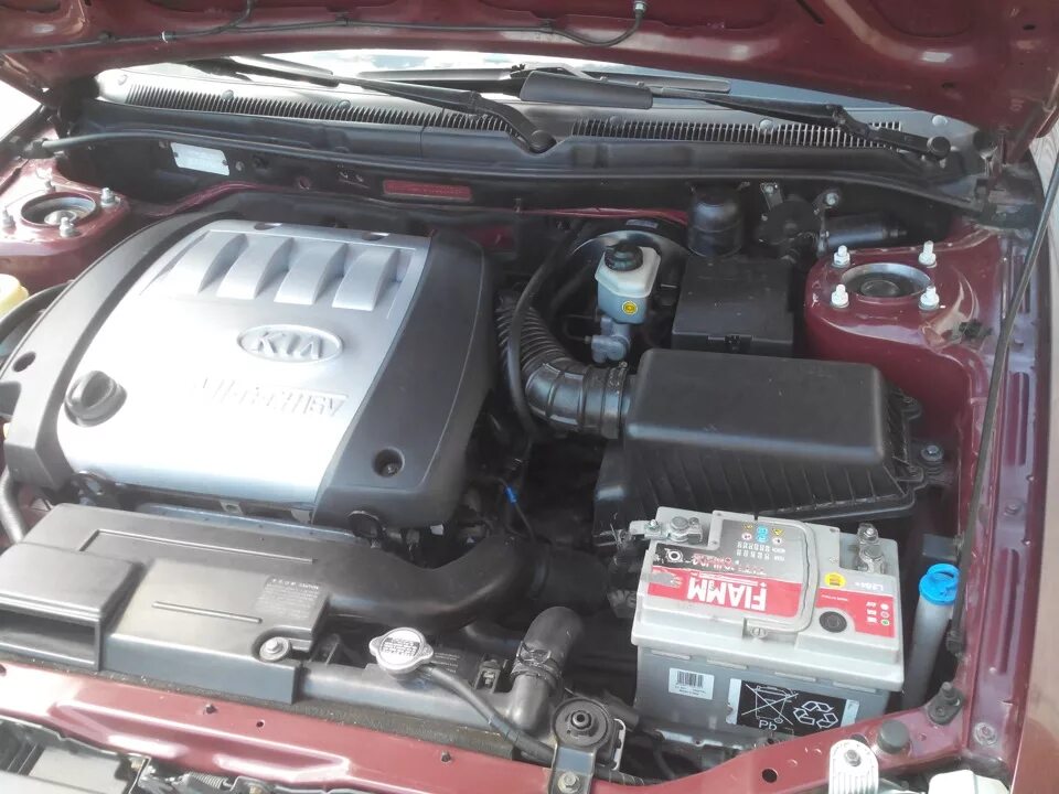 Уборка под капотом. Часть 1. - KIA Spectra, 1,6 л, 2008 года мойка DRIVE2